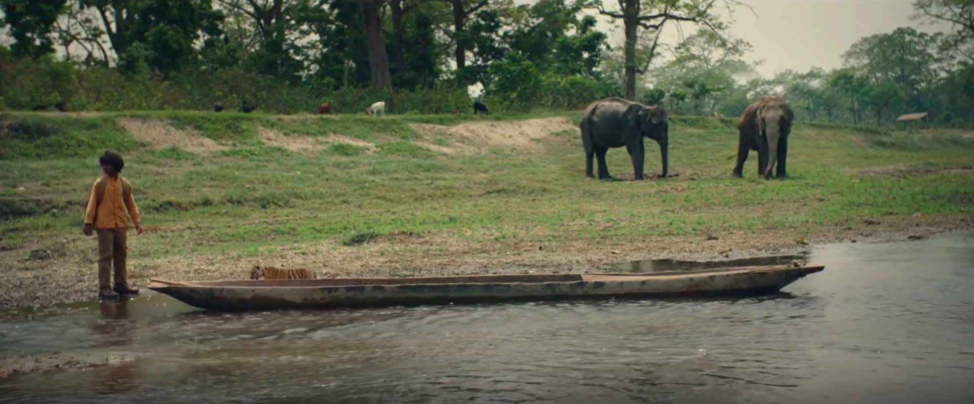 Il ragazzo e la tigre, Clip 4