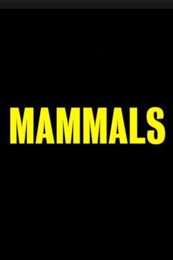 locandina Mammals