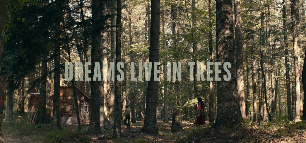 I sogni abitano gli alberi, trailer film di Marco Della Fonte