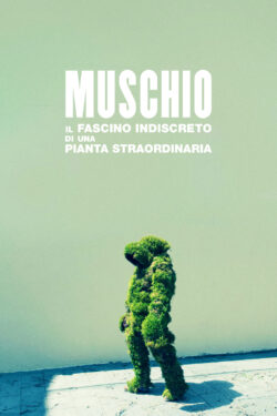 locandina Muschio. Il fascino indiscreto di una pianta straordinaria