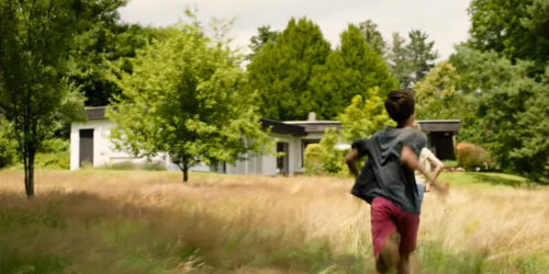 Dormo da Remy stanotte, clip dal film Close di Lukas Dhont