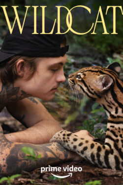 Wildcat – Poster