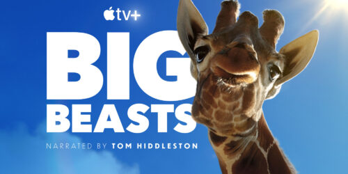 Big Beasts – Maestose Creature, trailer serie Apple TV Plus narrata da Tom Hiddleston