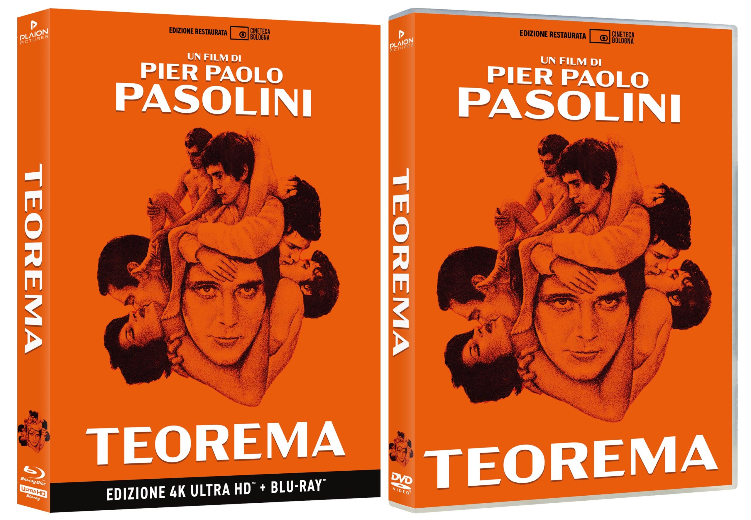 Teorema  in DVD e 4K UHD + Blu-ray