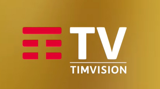 TIMvision