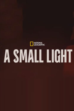 A Small Light