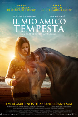 Il mio amico Tempesta Il mio amico Tempesta