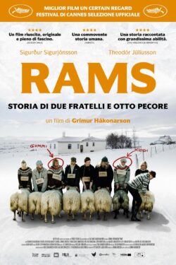 locandina Rams – Storia di due fratelli e otto pecore