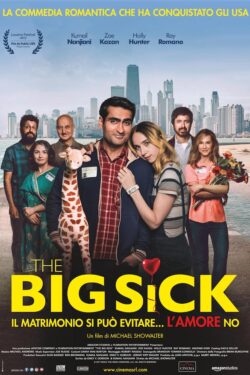 locandina The Big Sick – Il matrimonio si puo’ evitare, l’amore no