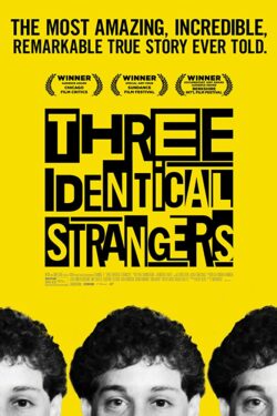 Locandina Three Identical Strangers 2018 Tim Wardle