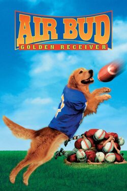 locandina Air Bud 2 – Eroe a quattro zampe