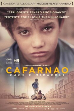 locandina Cafarnao – Caos e miracoli