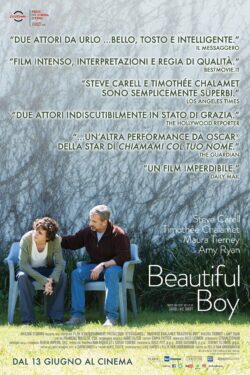 Beautiful Boy (2018)