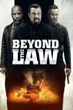 Locandina Beyond the Law – L’infiltrato