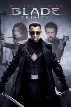 Locandina Blade: Trinity