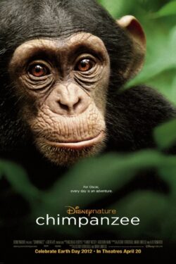 locandina Chimpanzee