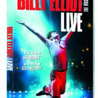 Locandina italiana DVD