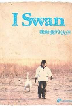 Locandina – I Swan
