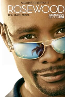 Rosewood (stagione 2)