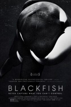 locandina Blackfish