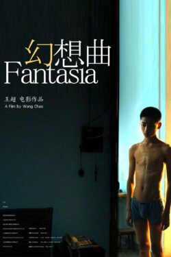 locandina Fantasia (2014)