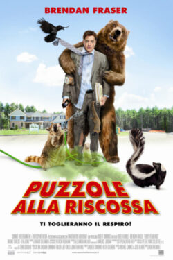 Locandina – Puzzole alla riscossa