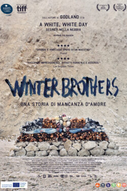 Poster Winter Brothers, film di Hlynur Palmason