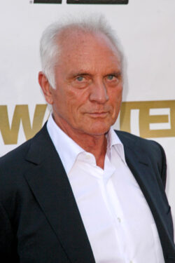 Locandina Terence Stamp