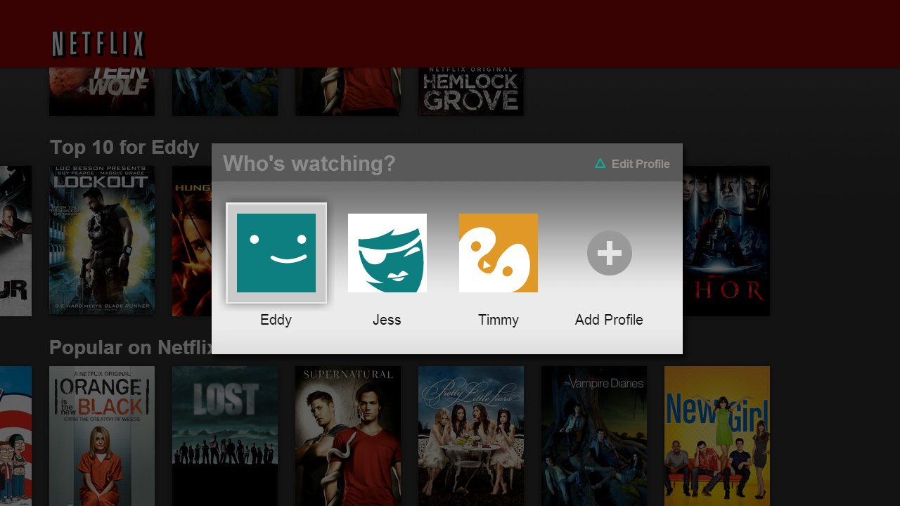 Netflix, funzione Profili 2013