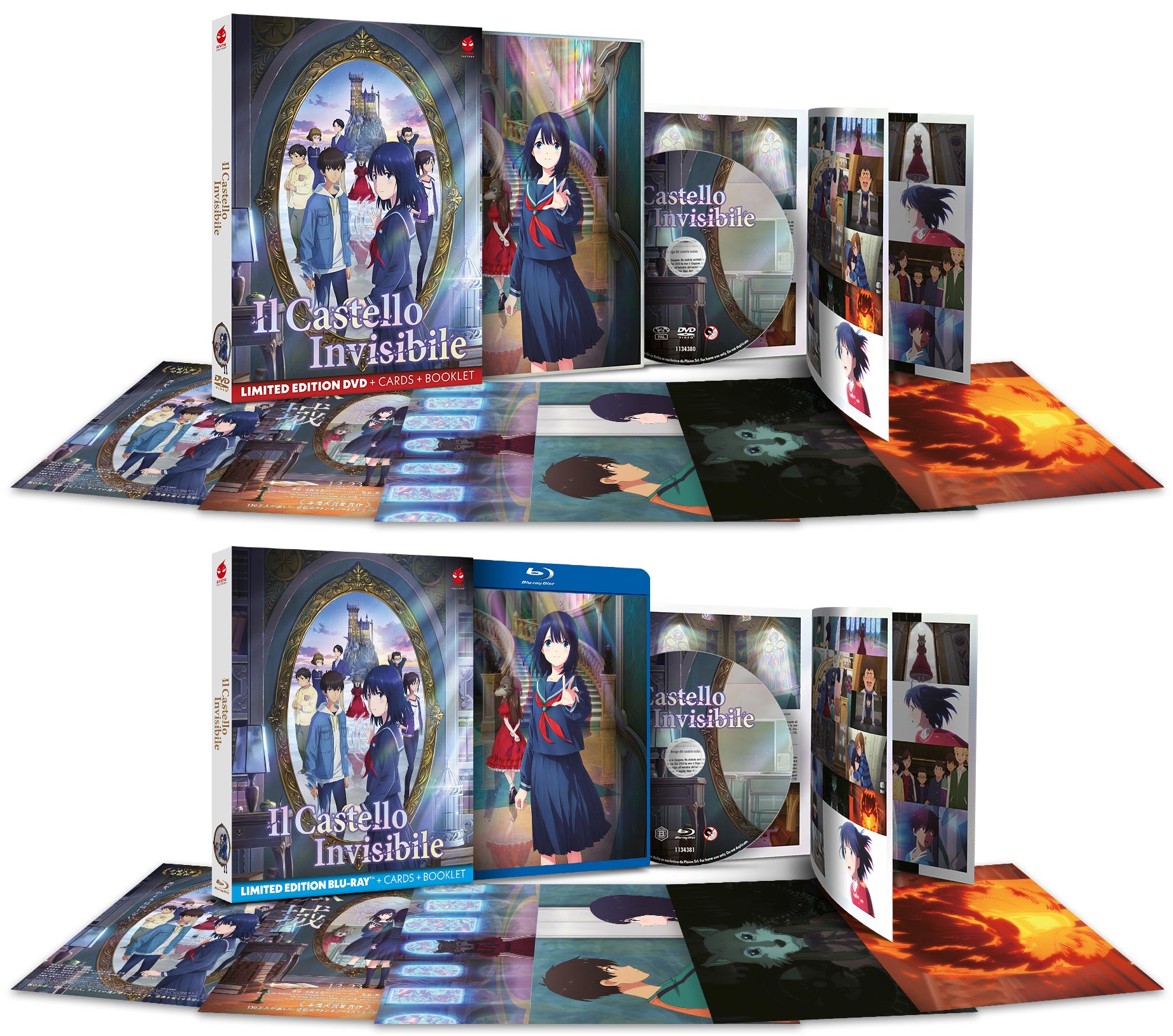 Il castello invisibile in DVD e Blu-ray