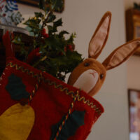 Velveteen Rabbit (voce di Alex Lawther) in Il coniglietto di velluto