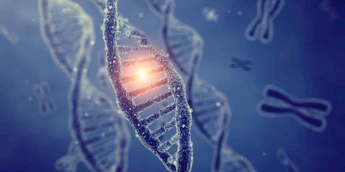 Mytho, il gene anti-età che consente di invecchiare meglio