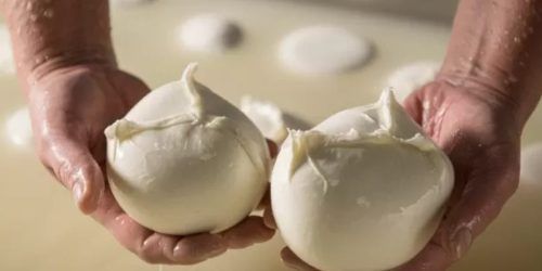 Vuoi mangiare mozzarelle artigianali a Milano? C'è un laboratorio proprio di fronte alla Fondazione Prada