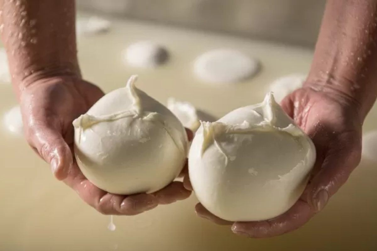 Mozzarelle artigianali