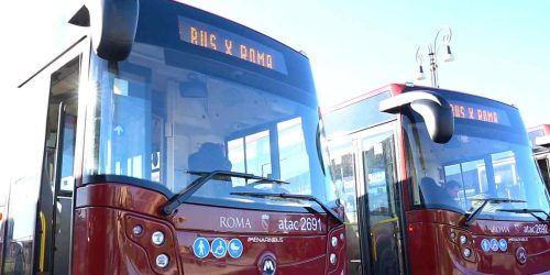 bus